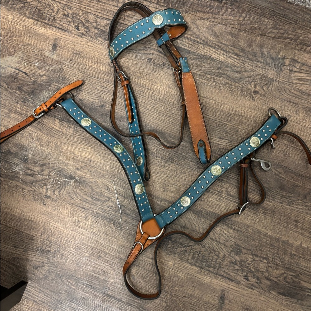 Turquoise Studded Leather Horse Tack Breastcollar and Headstall Set